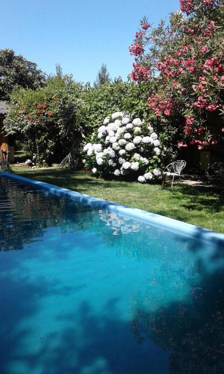 a swimming pool with blue water in a yard with flowers at Hostal Puerta del Sol Molina in Molina