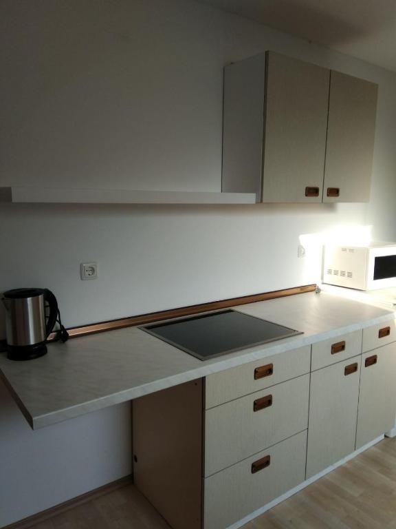 Kuchyň nebo kuchyňský kout v ubytování Ossiachersee Apartments