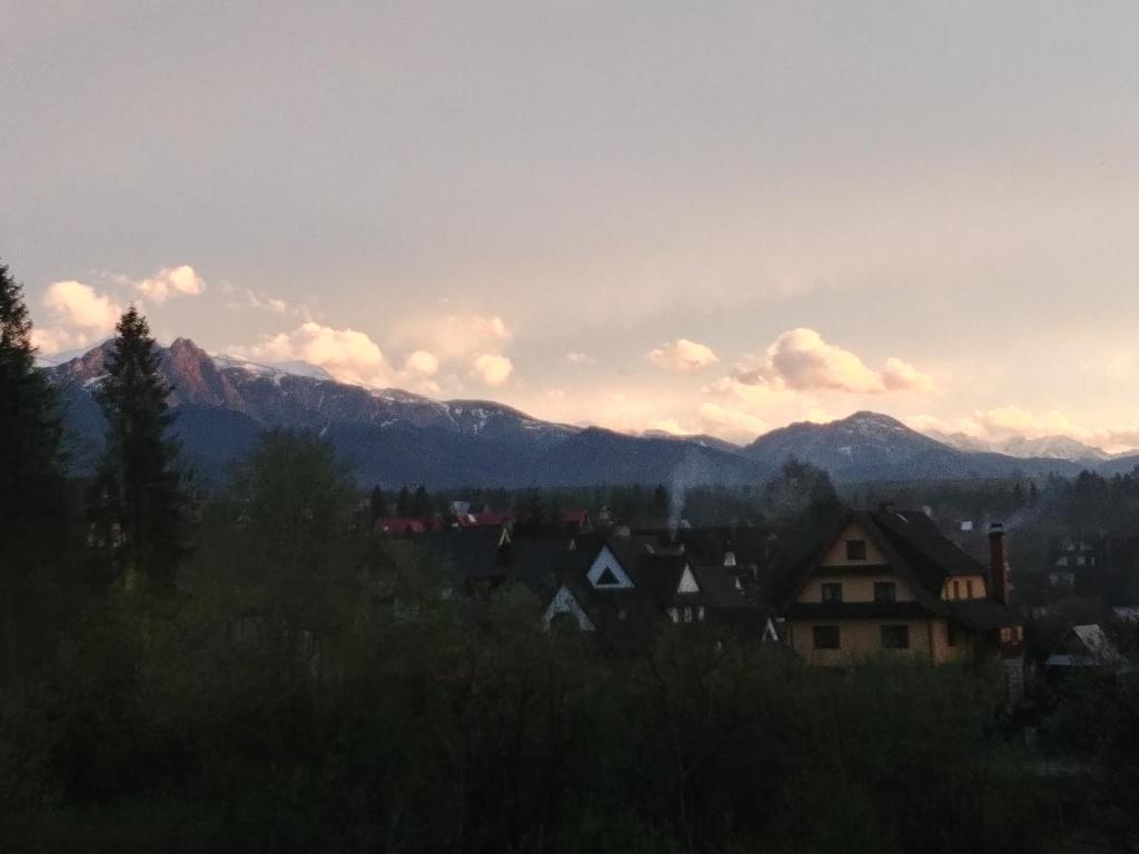 Willa Pawlikowskich - 11