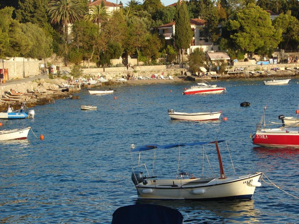 Fotografie z fotogalerie ubytování Apartments Špiko v destinaci Hvar