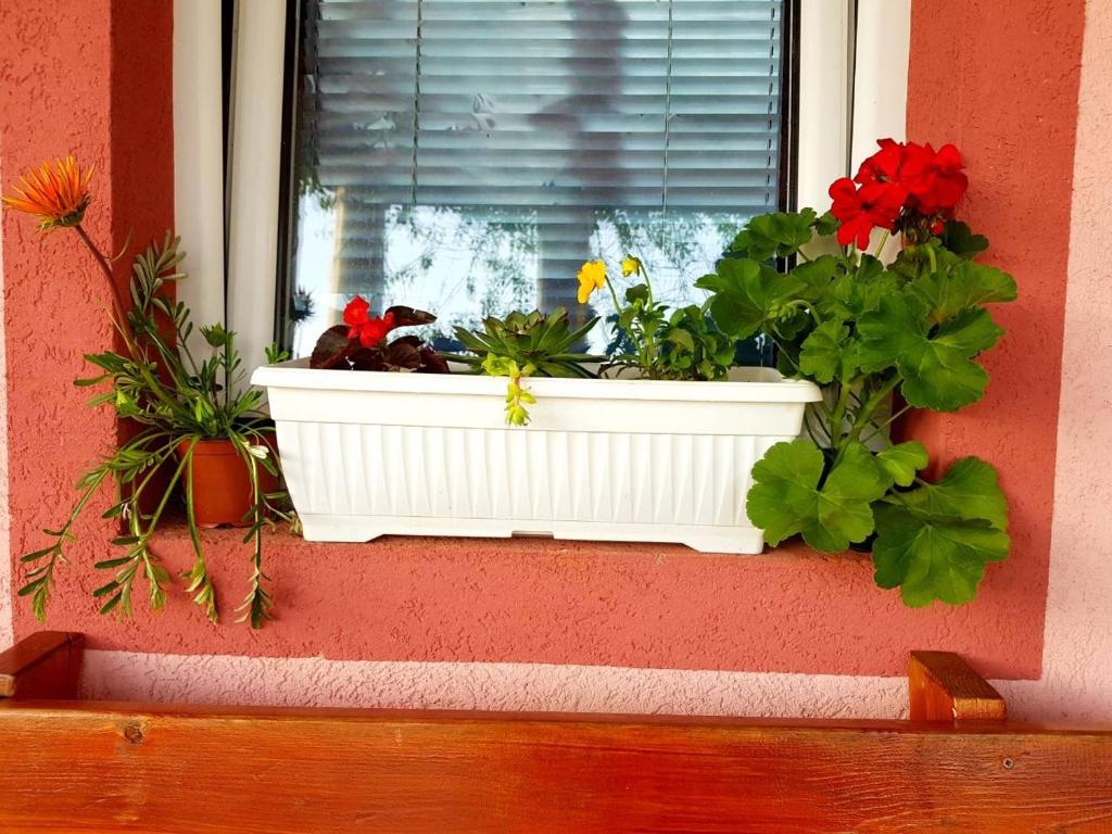 Fotografie z fotogalerie ubytování Holiday Village Ostrog v destinaci Nikšič