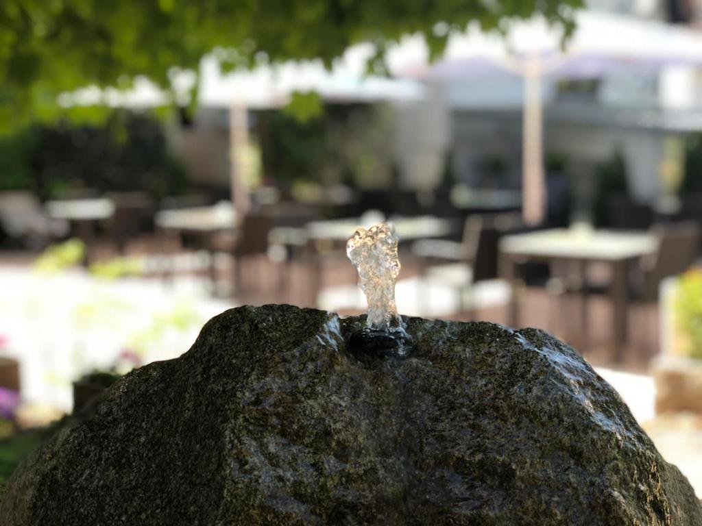 Fotografie z fotogalerie ubytování Landhotel Traube v destinaci Baden-Baden