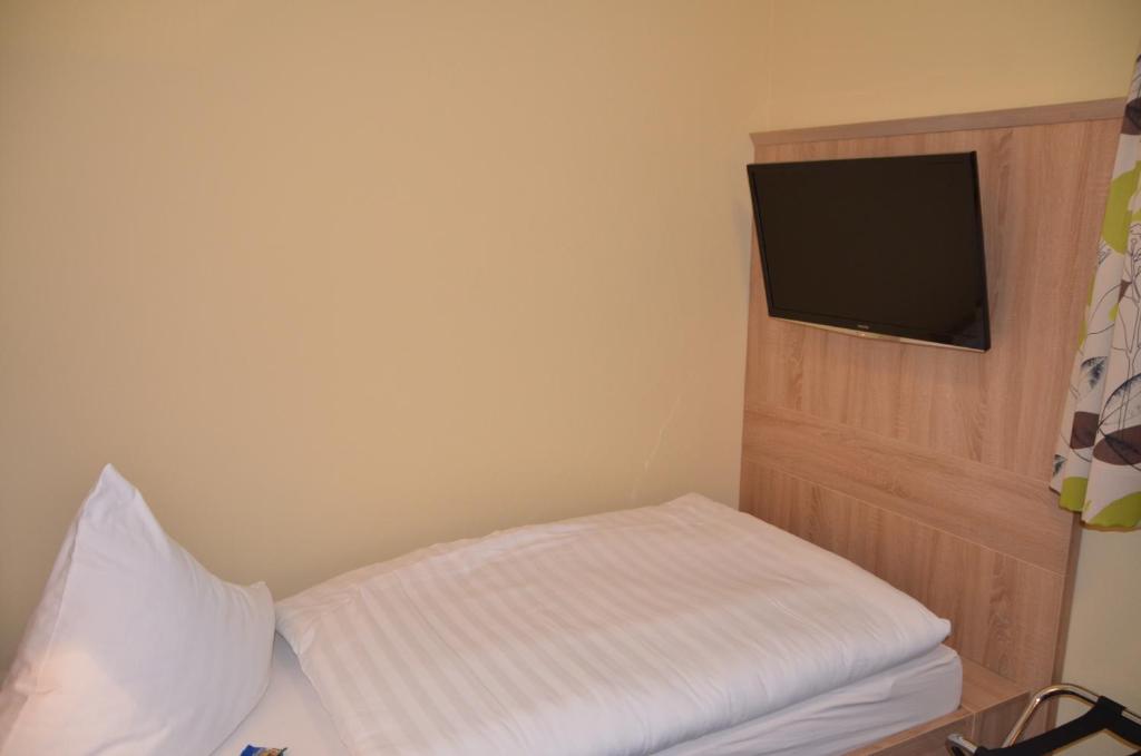 TV a/nebo společenská místnost v ubytování Hotel Sassor