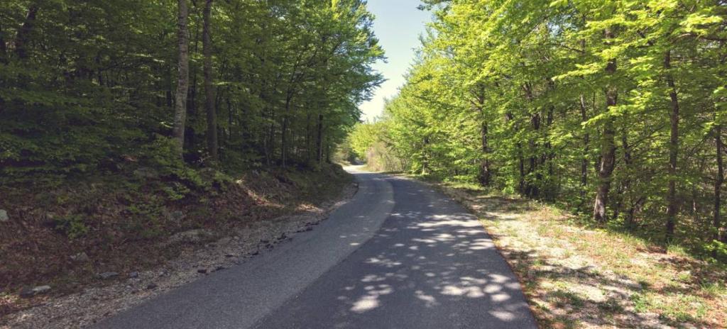 Príroda v okolí horskej chaty