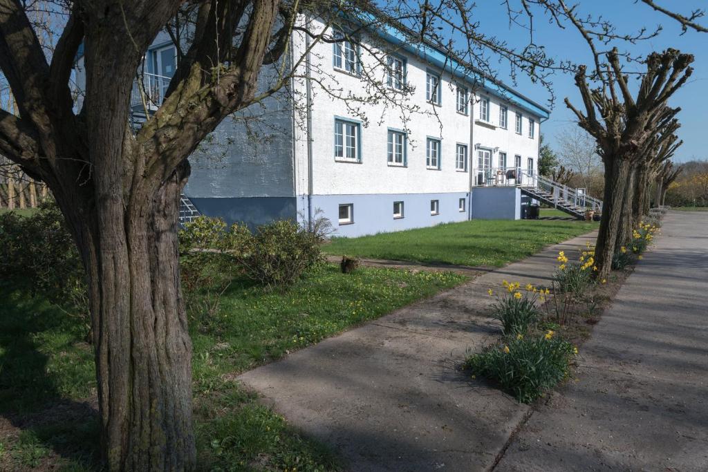 a white building with trees in front of a sidewalk at Haus ÜberLand in Sundhagen