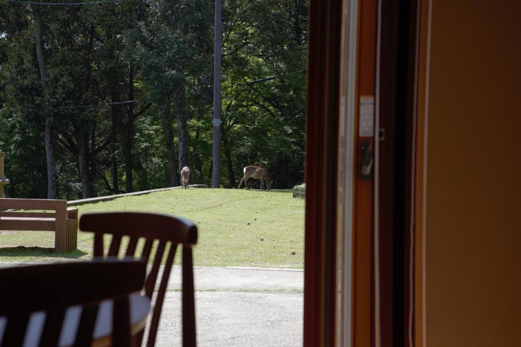 a view of two deer in a field from a window at Mountain Home Lodge in Deer Park in Nara