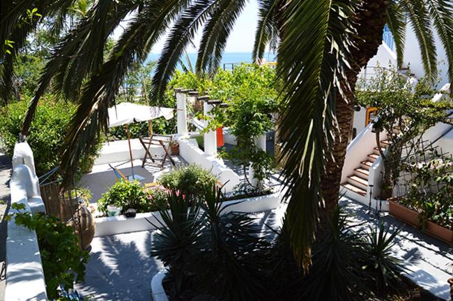 un patio con palme, sedie e piante di Le Case del Capitano a Stromboli