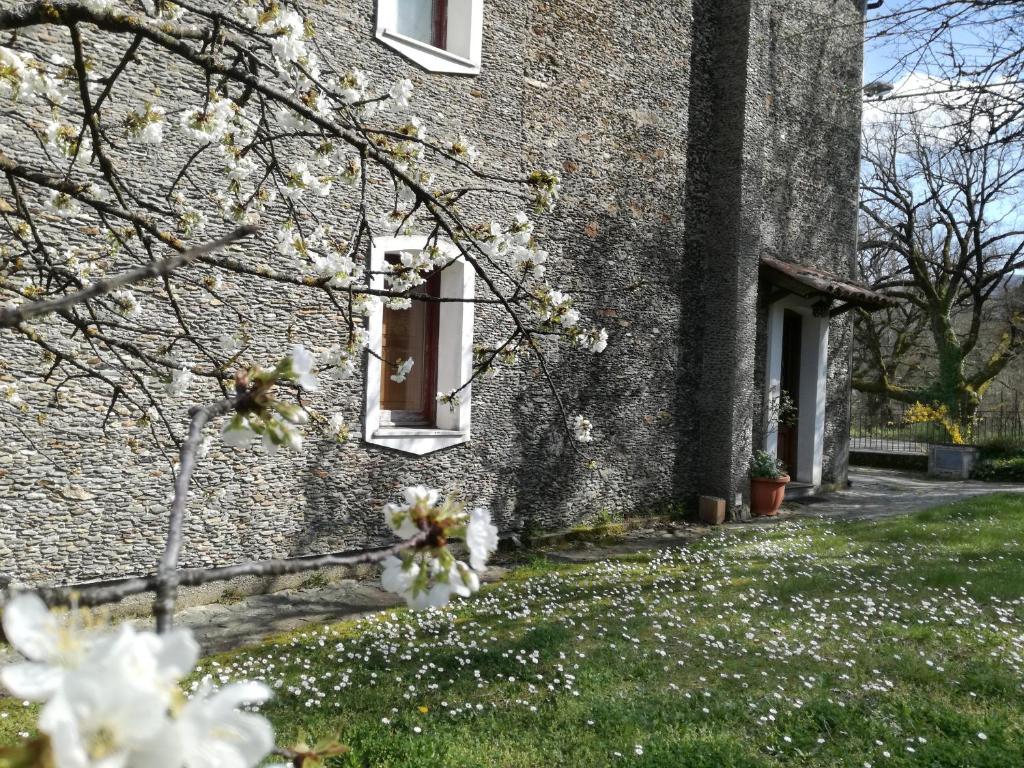 Zahrada ubytování Casa nel verde