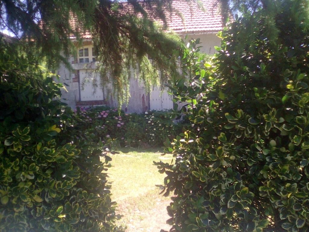 a garden with a house behind some trees at Le Gîte de Réaumur in Réaumur