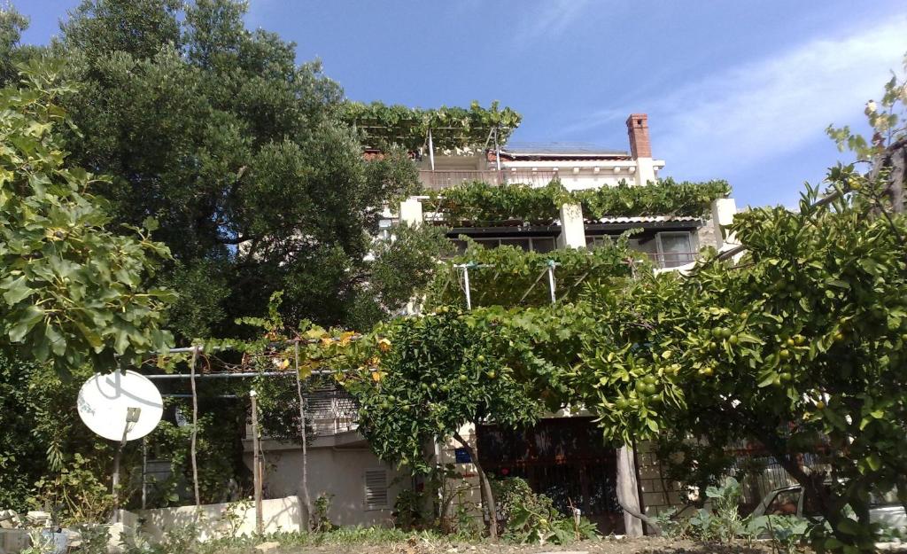 Jardín al aire libre en Apartments Kust