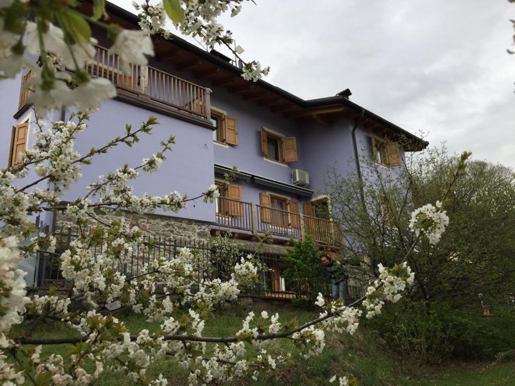Zahrada ubytování CastelCharme b&b