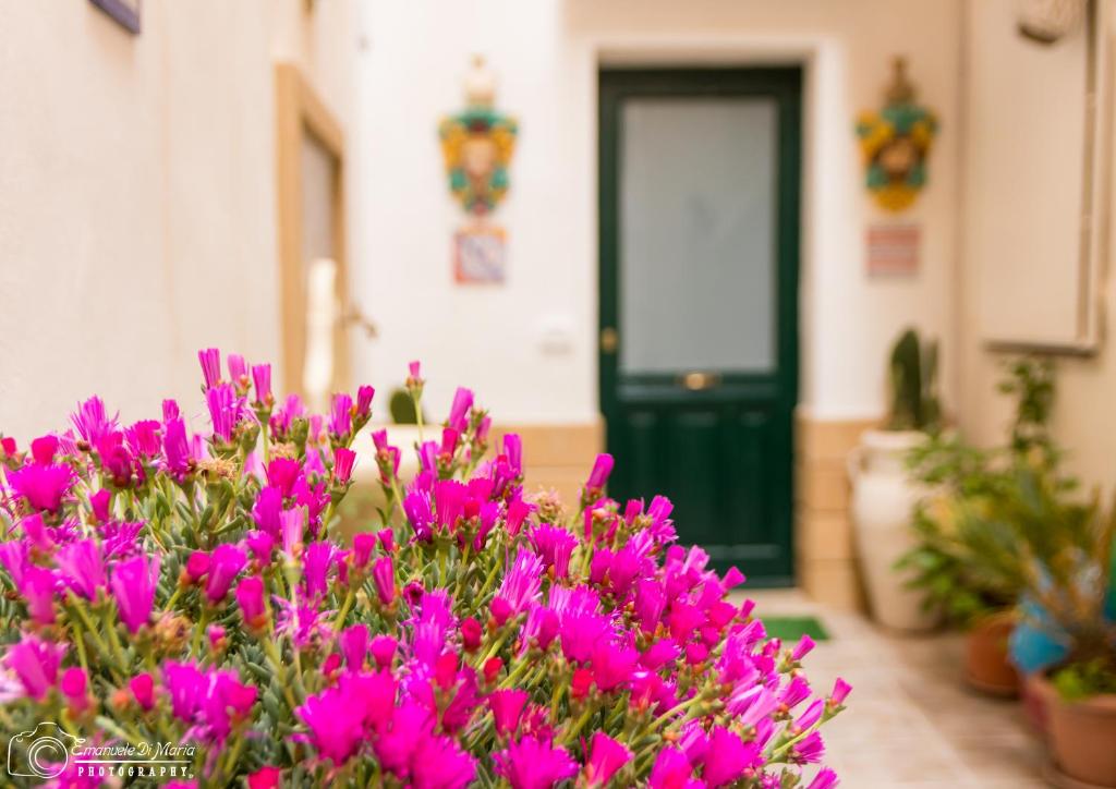 różowe kwiaty przed drzwiami w obiekcie Le Stanze Del Vicolo w mieście Mazara del Vallo