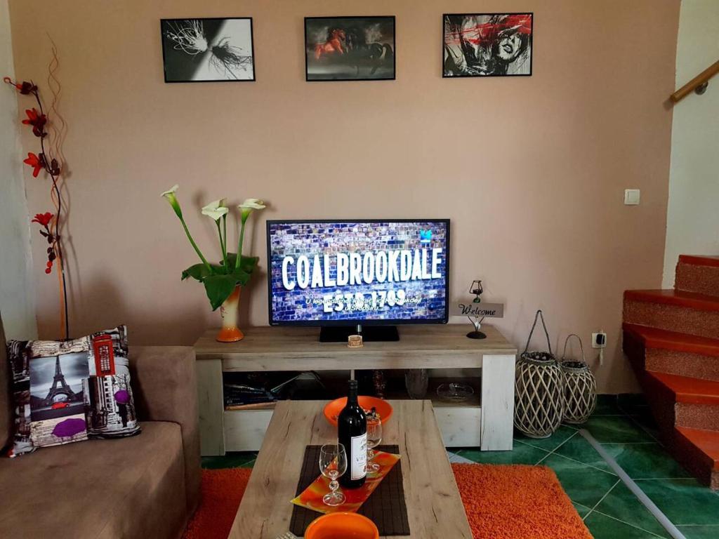 TV a/nebo společenská místnost v ubytování Holiday Village Ostrog