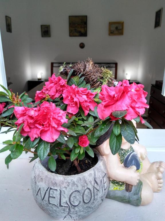 a pot filled with pink flowers on a table at Mama Brasov in Braşov