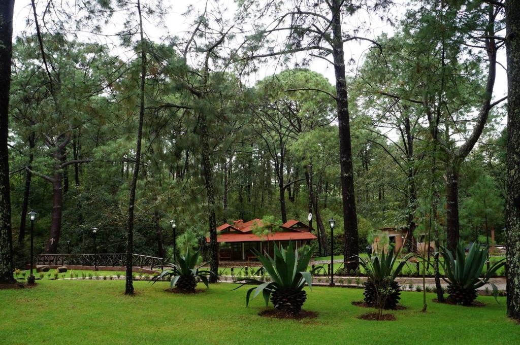 Zahrada ubytování Rincón del Bosque
