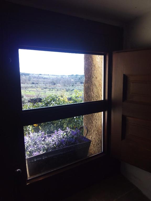 Casa Rural Donatila - Six-Bedroom House