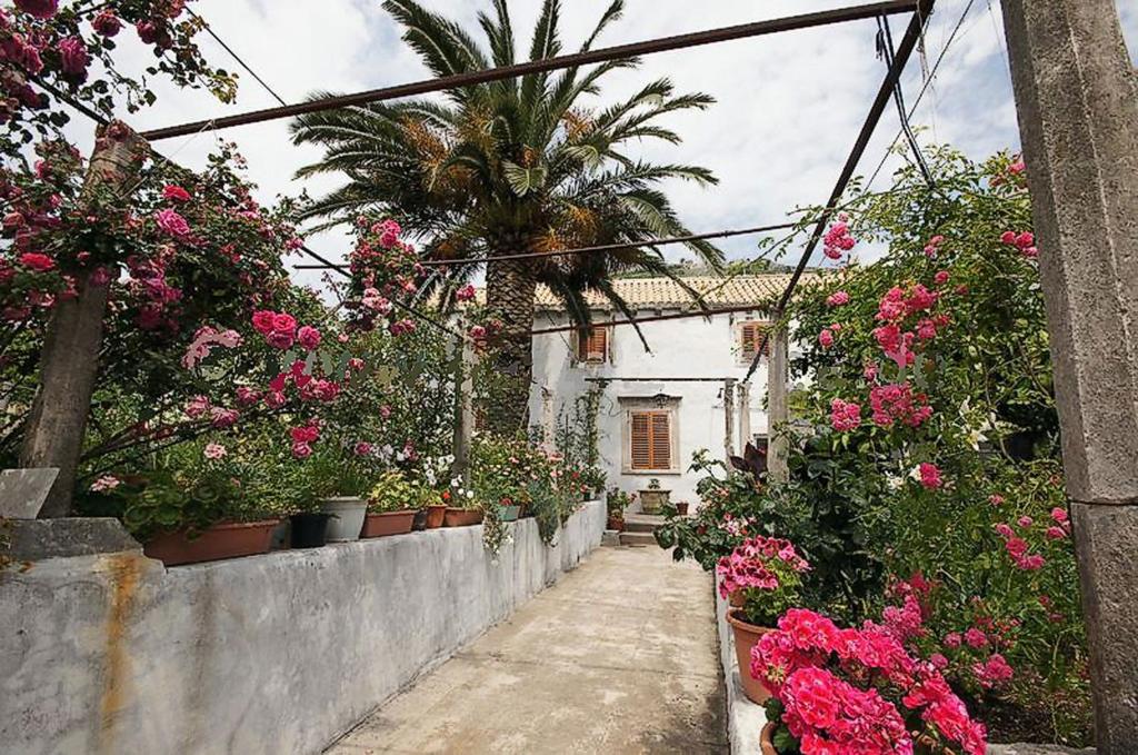 un jardín con flores y plantas en una pared en Apartments Imperial, en Dubrovnik
