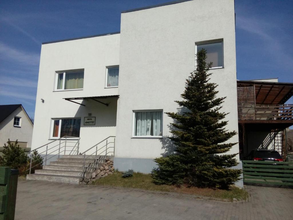 uma casa branca com um pinheiro em frente em Anette House em Pärnu