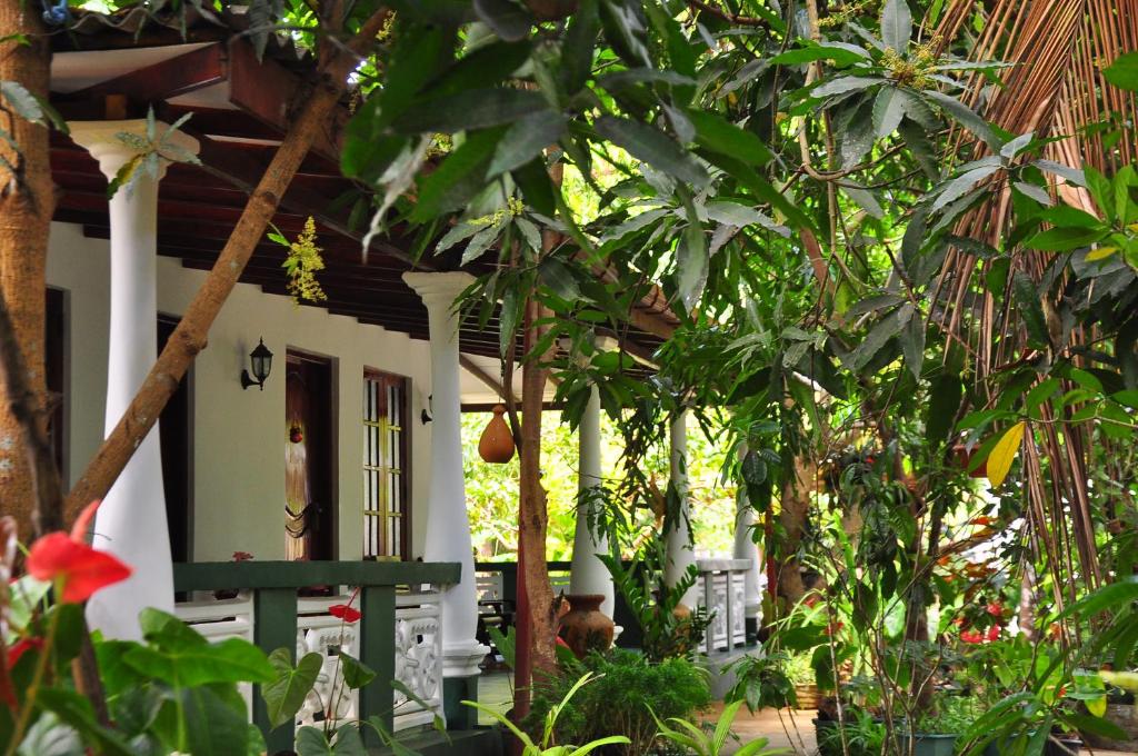 dom na środku ogrodu z drzewami w obiekcie Sigiri Rock Side Home Stay w mieście Sigirija