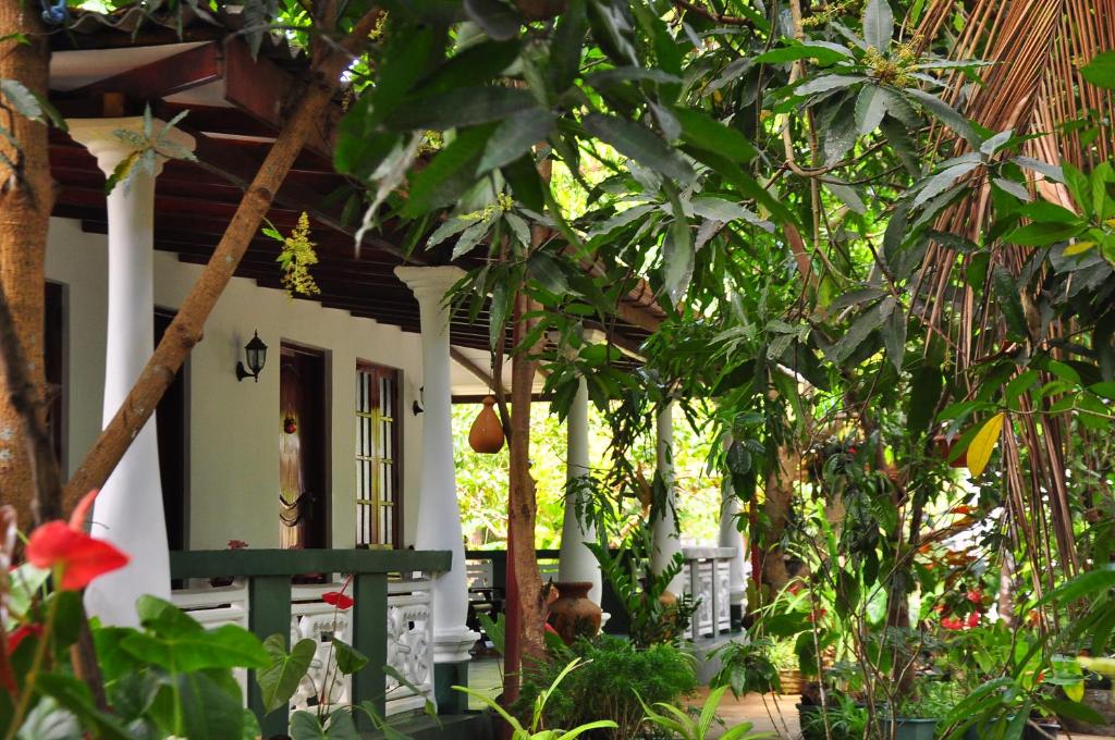 Zahrada ubytování Sigiri Rock Side Home Stay