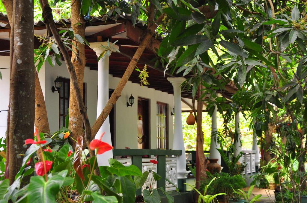 Zahrada ubytování Sigiri Rock Side Home Stay