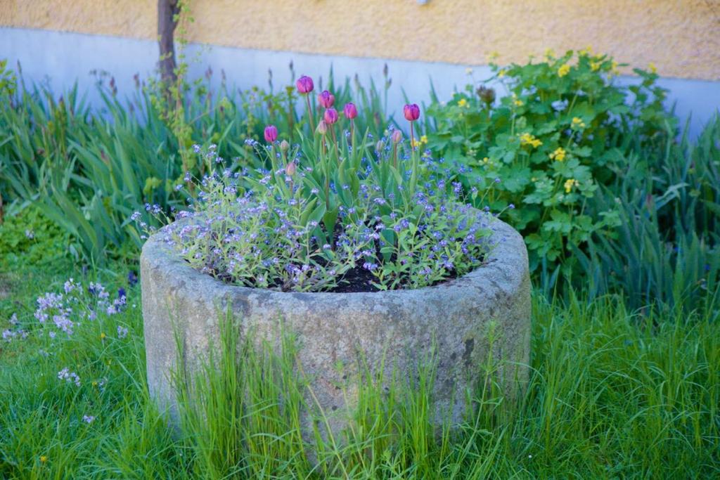 A garden outside Schloss Pesenbach Chalet im Freizeitland Feldkirchen an der Donau