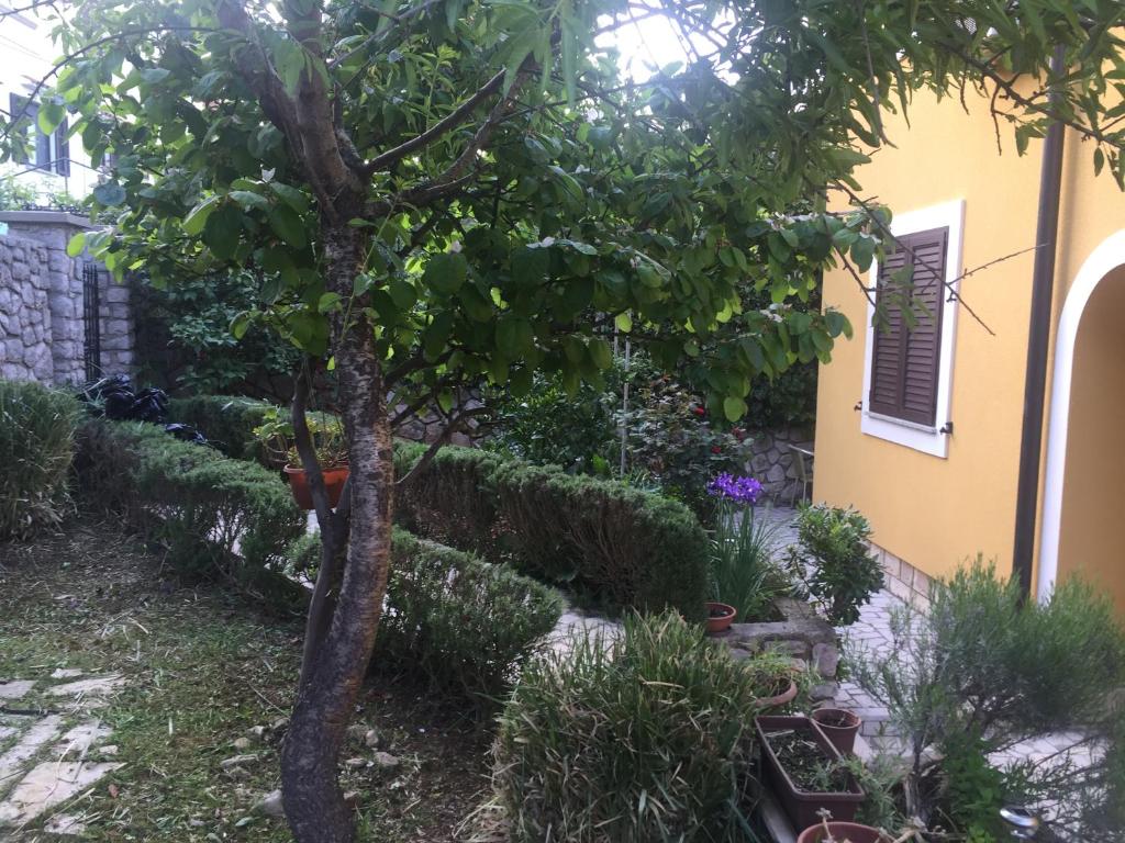 Apartments Ivanka - Apartamento De Una Habitación