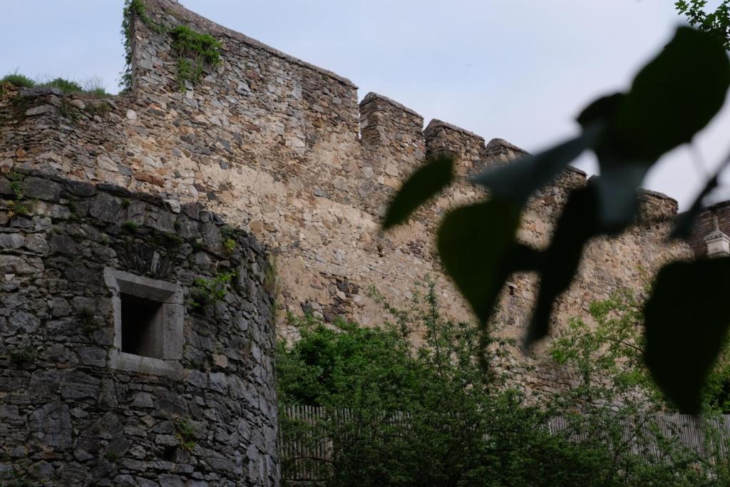 Fotografie z fotogalerie ubytování Mokahotel v destinaci Drosendorf Stadt