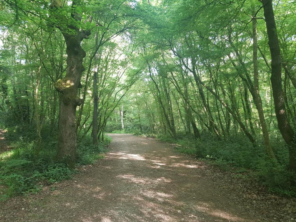 Příroda nedaleko apartmánu