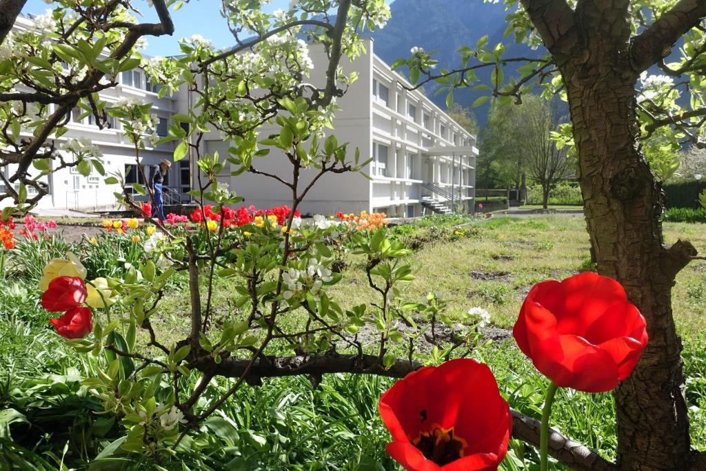 Jardí fora de Hôtellerie Franciscaine