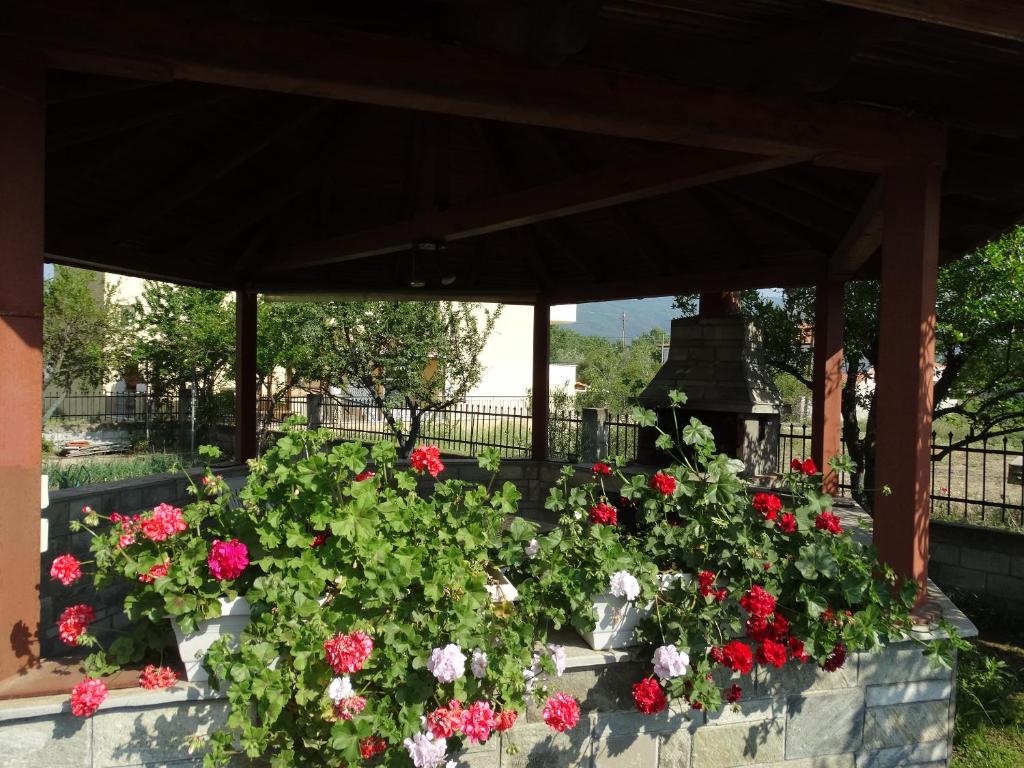 A garden outside Christakos Apartments
