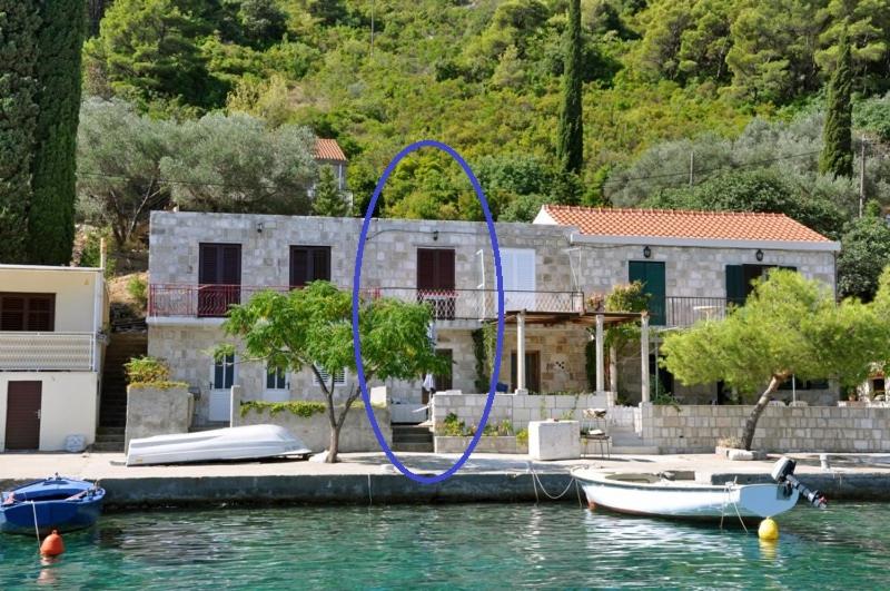 a blue ribbon in the water in front of a house at Sunny Apartment Octopus in Prožura
