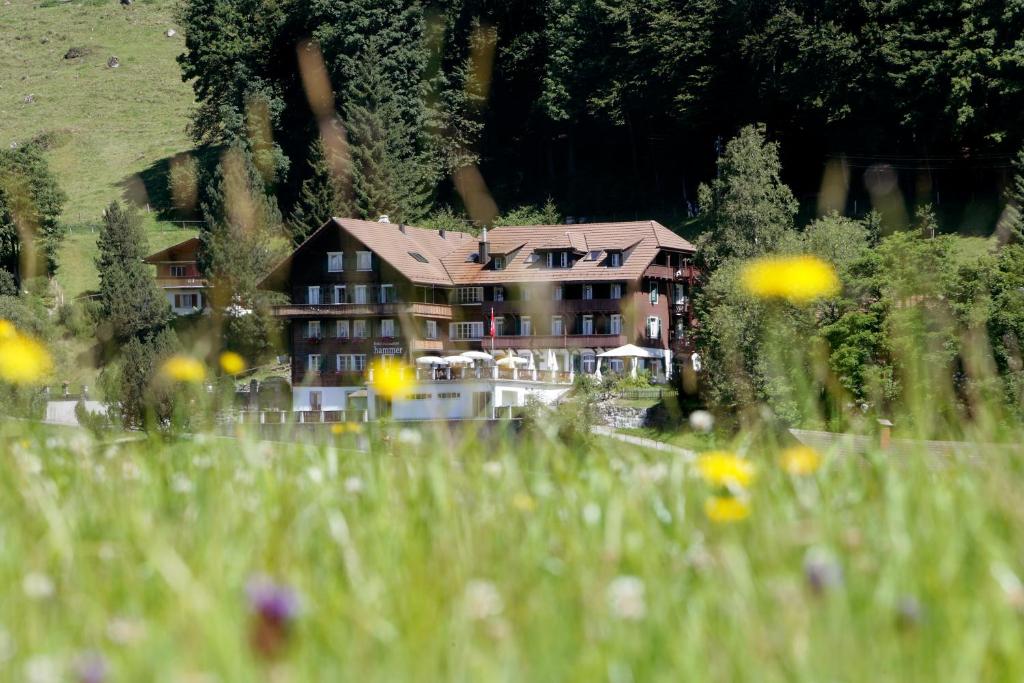 Příroda nedaleko hotelu