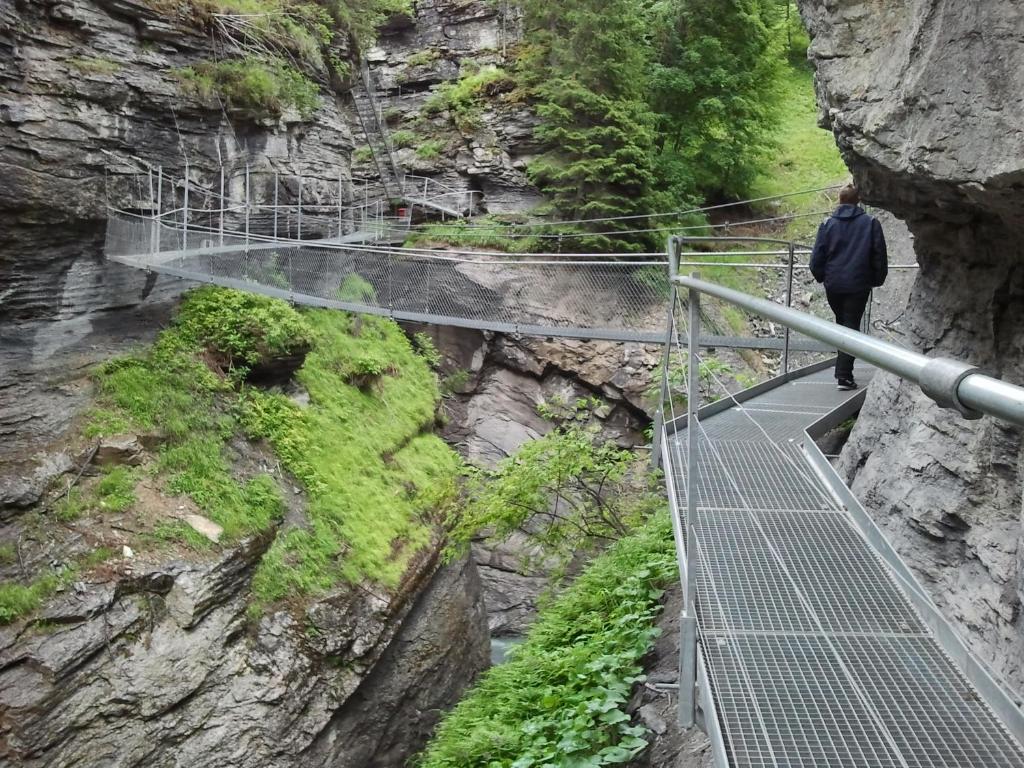 Příroda nedaleko apartmánu