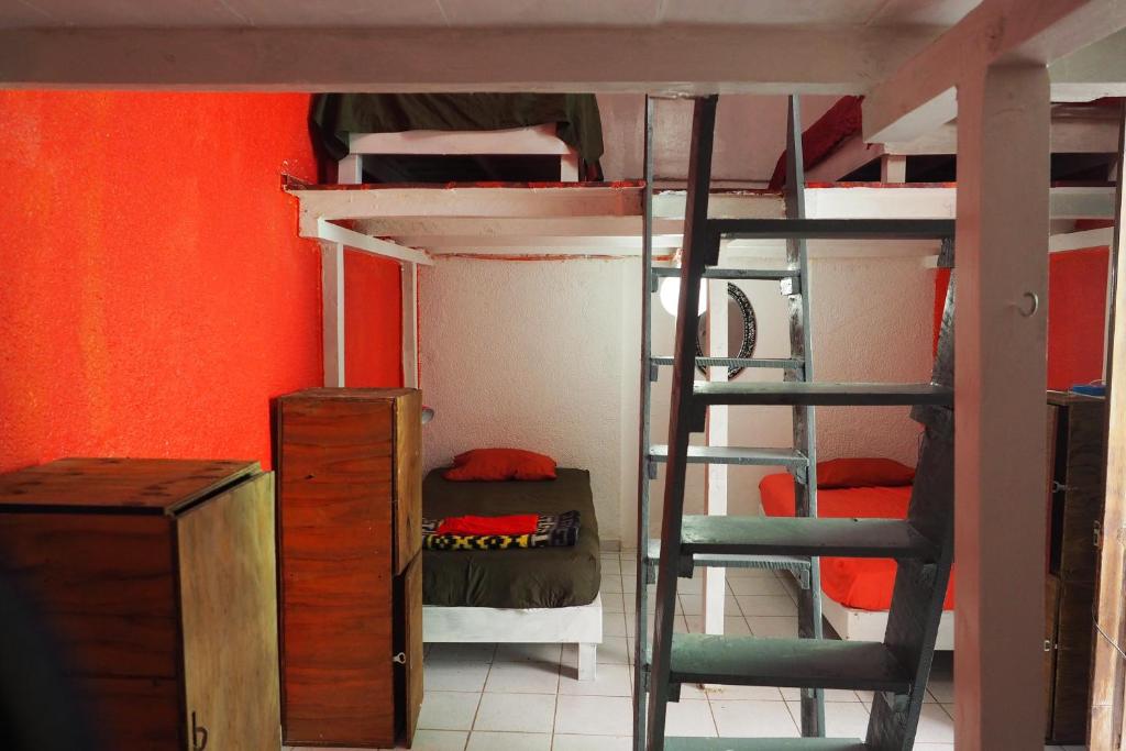Iguana Hostel Oaxaca - Bed In 8-Bed Mixed Dormitory Room