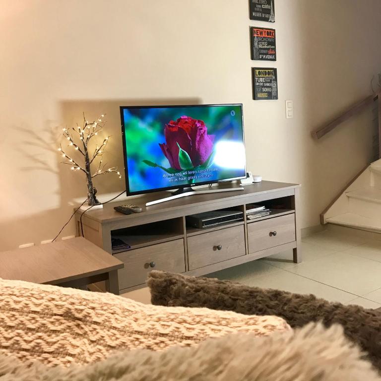 TV a/nebo společenská místnost v ubytování De Reep