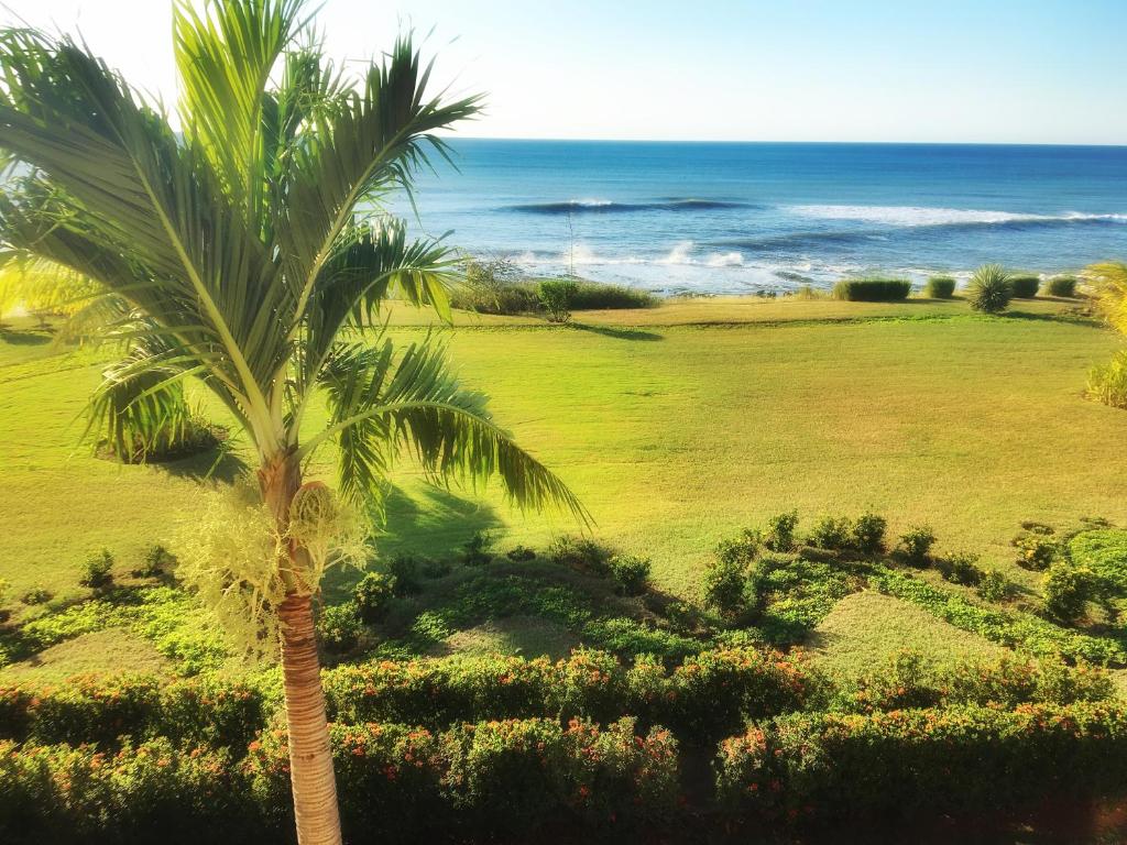 a palm tree in a field next to the ocean at Suite Rivas 126 Gran Pacifica Resort in San Diego