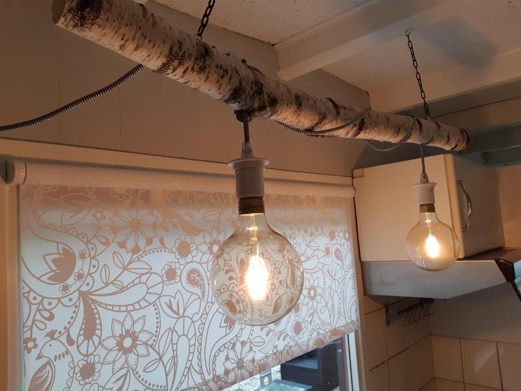 Kuchyň nebo kuchyňský kout v ubytování Chalet Hoenderloo Den