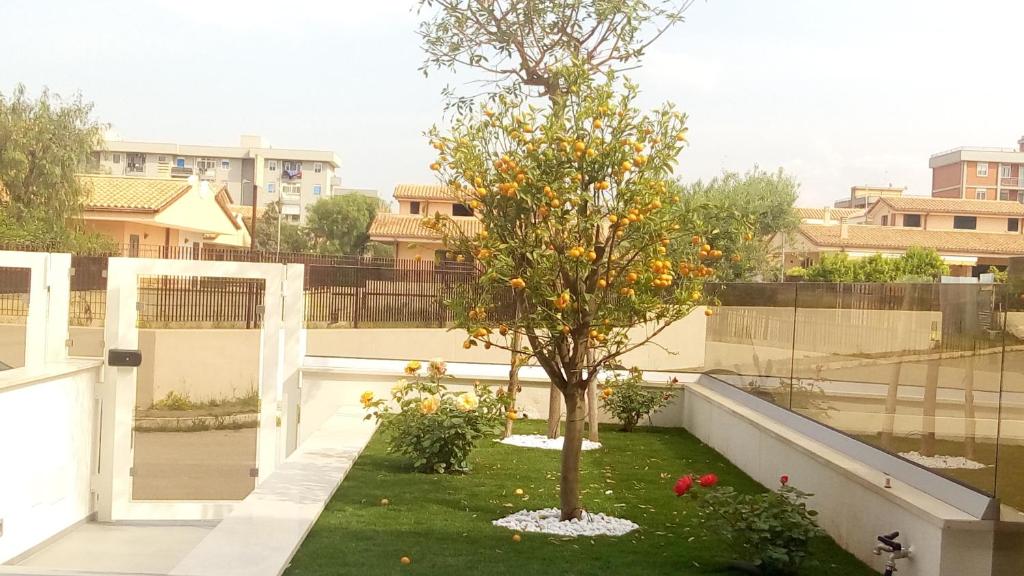 Manolo Case Vacanza - 1