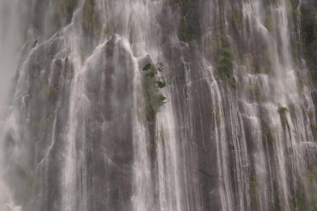 Fotografie z fotogalerie ubytování Templenoe Paradise v destinaci Te Anau
