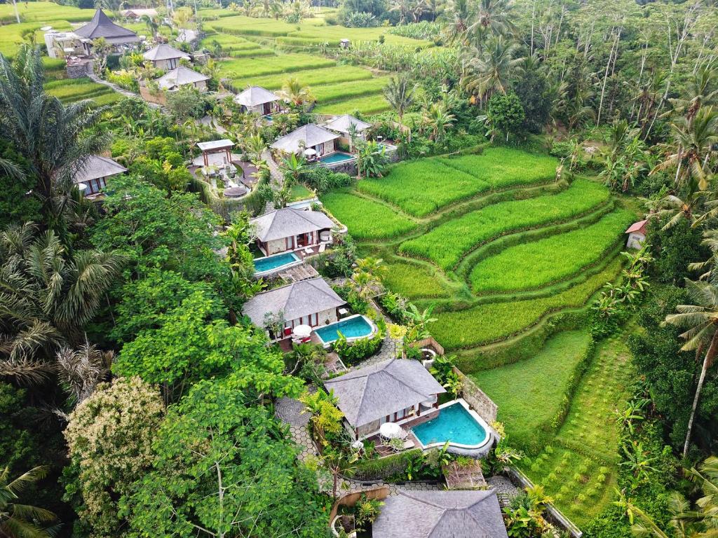 an aerial view of a resort in a field at Nau Villa Ubud in Tegalalang
