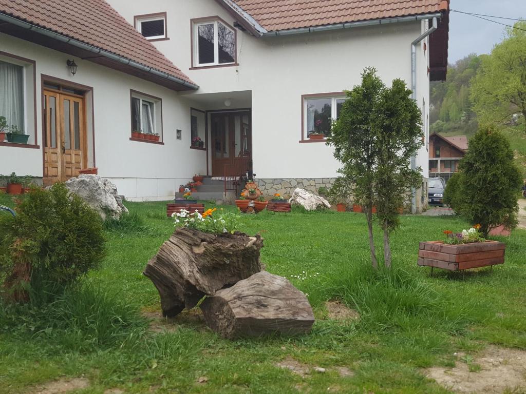 ポイアナ・マルルイにあるCasa Ioanaの庭の木と岩のある家