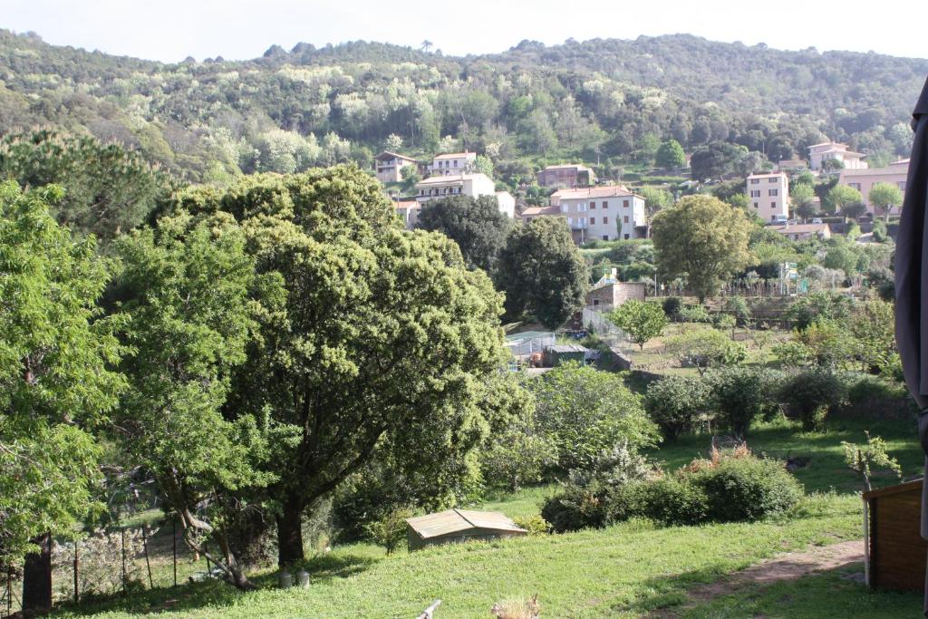 uma vista para uma cidade a partir de uma colina com árvores em A CARDICCIA Loc saisonnières PIANA em Piana
