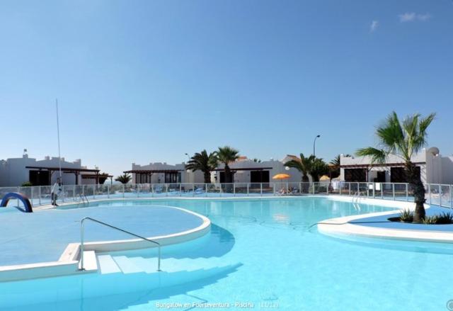 a large swimming pool with blue water and palm trees at Castillo Sun Bungalow in Caleta De Fuste