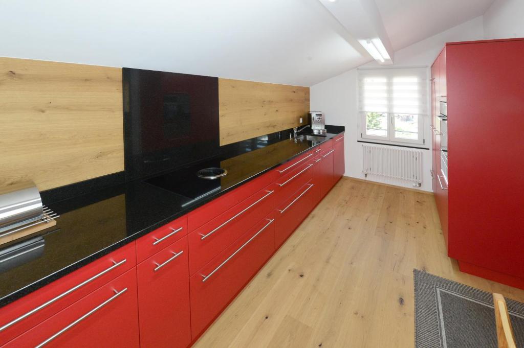Kuchyň nebo kuchyňský kout v ubytování Zer Treichi Appartements