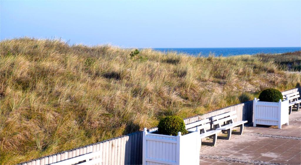 eine Reihe von Bänken an einem Strand in der Nähe des Ozeans in der Unterkunft Darssmuschel Dierhagen-Strand - Haus 2 in Dierhagen