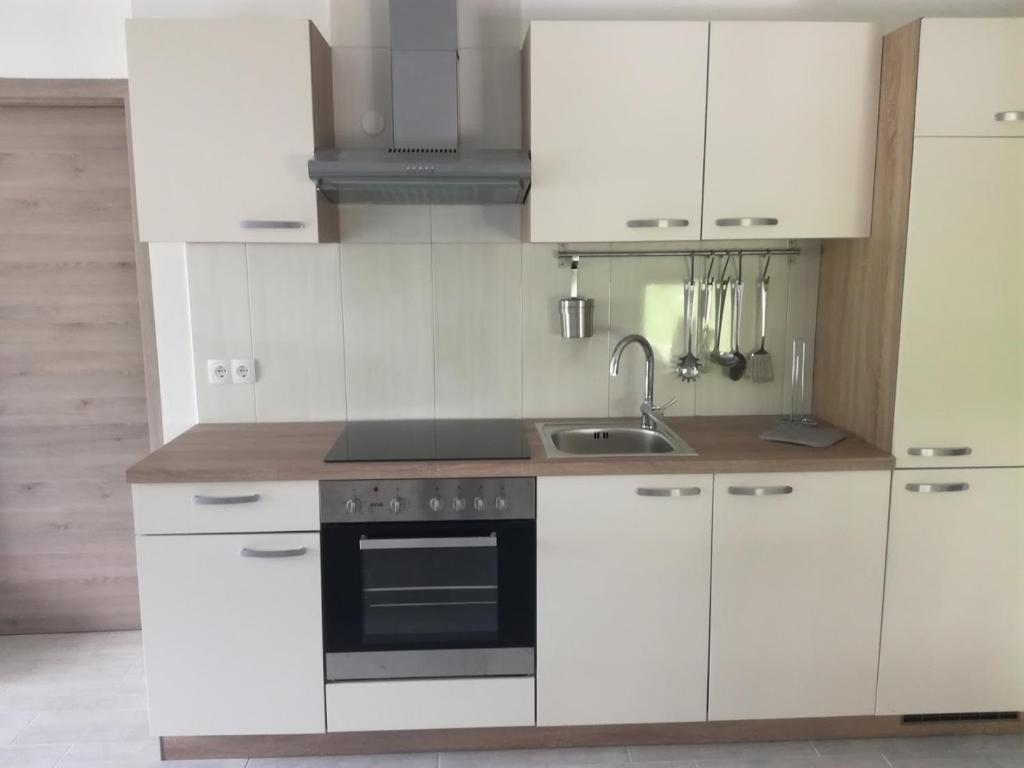 Kuchyň nebo kuchyňský kout v ubytování Apartma Logar