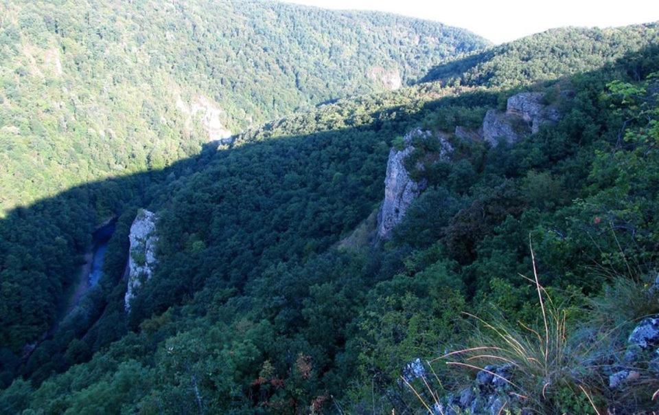 Cabana Suncuius È™uncuiuÈ™ PreÈ›uri Actualizate 2021