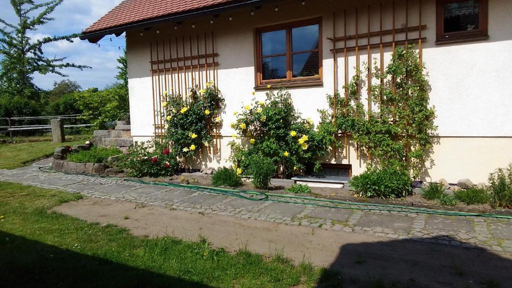 Zahrada ubytování "Altjessen 57"