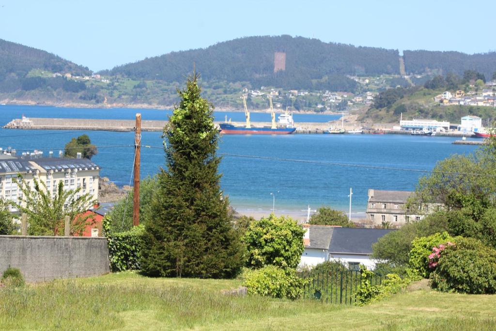 a pine tree on a hill next to a body of water at O ollo do Mar in Viveiro